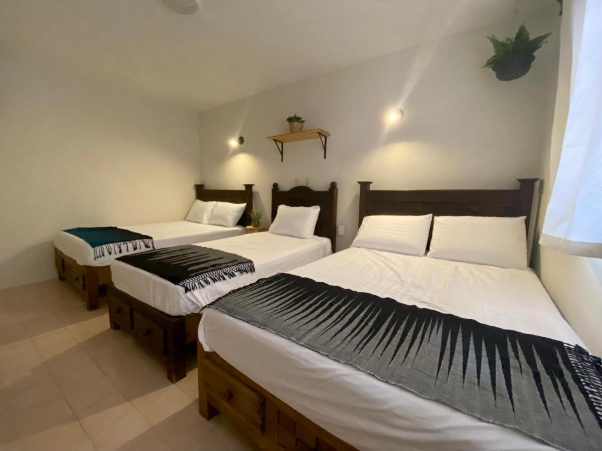 ホテル Casa Venus San Cristóbal de Las Casas エクステリア 写真