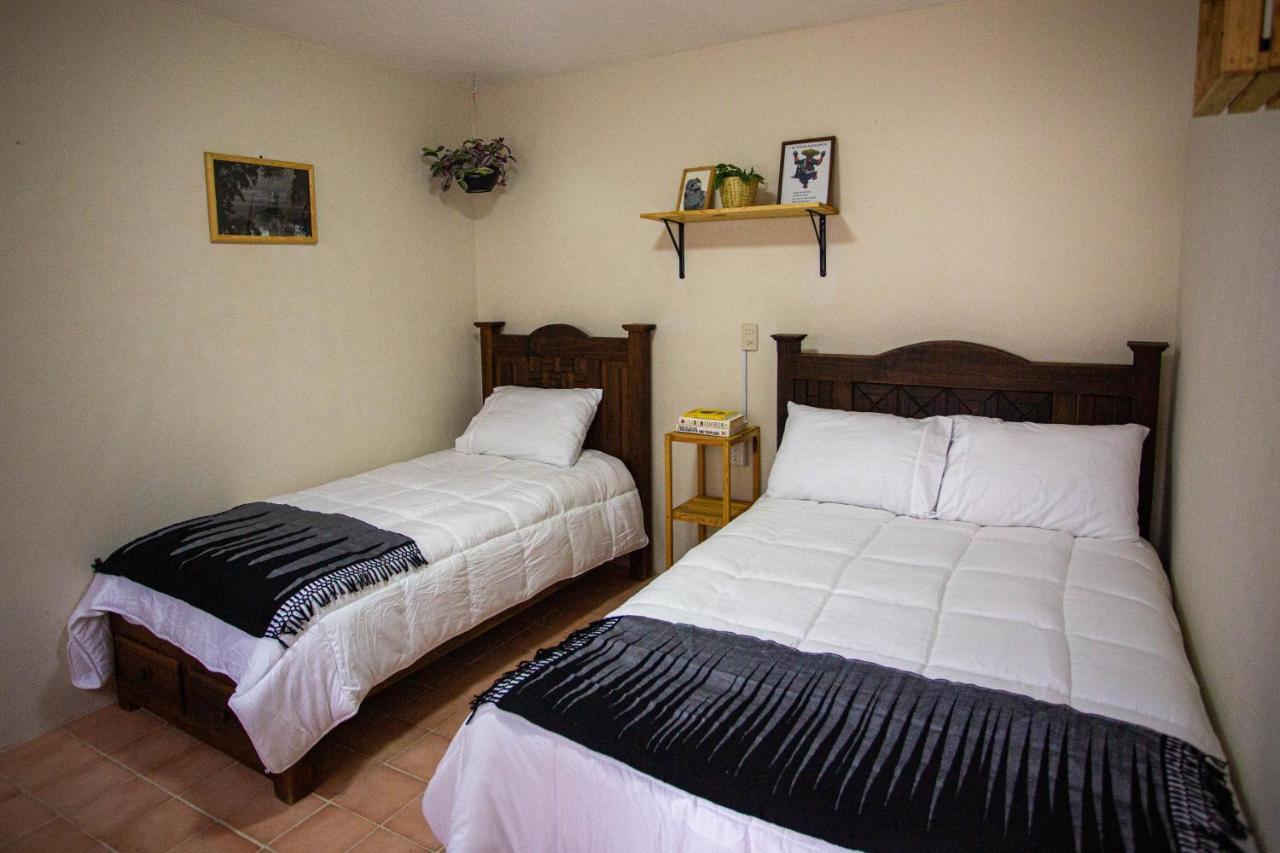 ホテル Casa Venus San Cristóbal de Las Casas エクステリア 写真